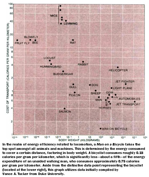 Optimizing Digital Efficiency Locomotion Chart